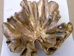 ciotola-moderna-pezzo-unico